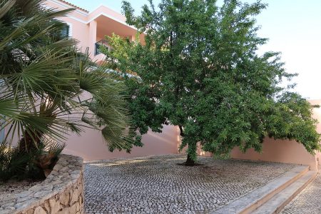Alvor apartments garden